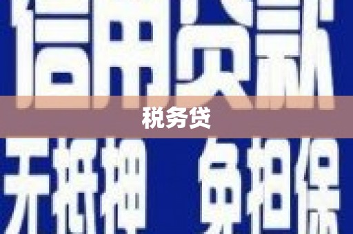 运城税务贷