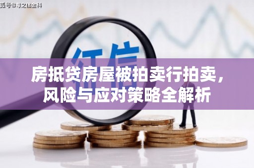 山海关房抵贷房屋被拍卖行拍卖，风险与应对策略全解析