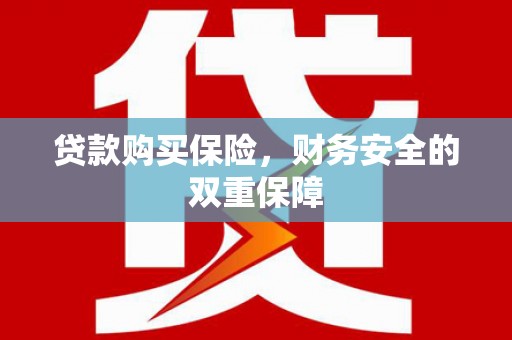 南明贷款购买保险，财务安全的双重保障