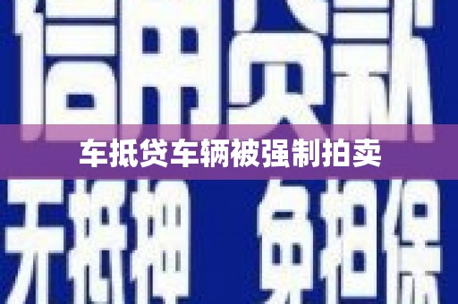 峨眉车抵贷车辆被强制拍卖
