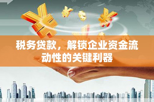 扶余税务贷款，解锁企业资金流动性的关键利器