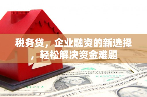 鹿野税务贷，企业融资的新选择，轻松解决资金难题