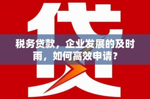 巴东税务贷款，企业发展的及时雨，如何高效申请？