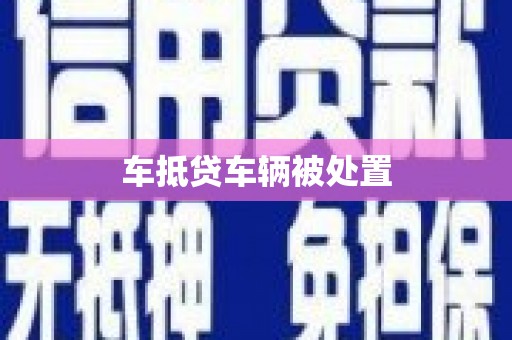 金寨车抵贷车辆被处置