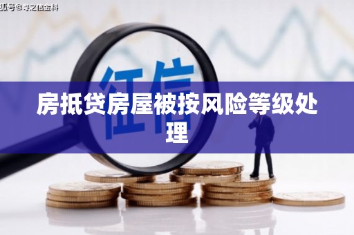 志丹房抵贷房屋被按风险等级处理