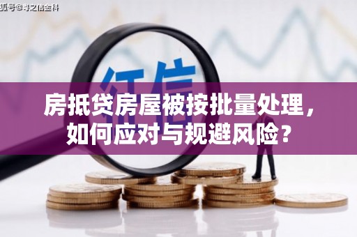 榆中房抵贷房屋被按批量处理，如何应对与规避风险？