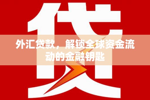龙湖外汇贷款，解锁全球资金流动的金融钥匙