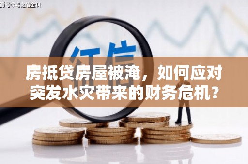 云梦房抵贷房屋被淹，如何应对突发水灾带来的财务危机？