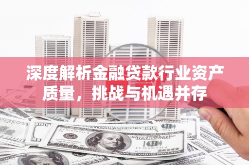 龙陵深度解析金融贷款行业资产质量，挑战与机遇并存