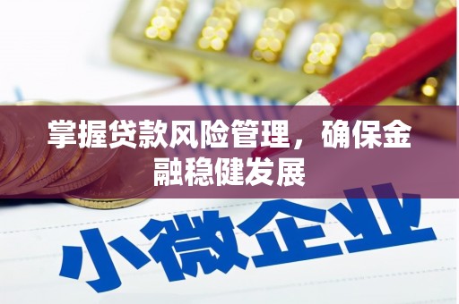 涟水掌握贷款风险管理，确保金融稳健发展