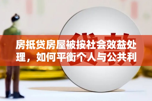 聊城房抵贷房屋被按社会效益处理，如何平衡个人与公共利益？