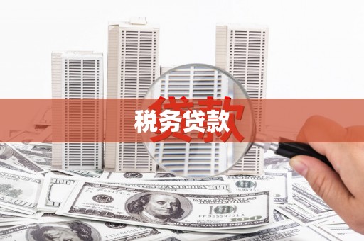 浦东税务贷款