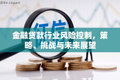 永州金融贷款行业风险控制，策略、挑战与未来展望