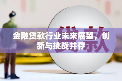 昭平金融贷款行业未来展望，创新与挑战并存