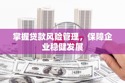 尖石掌握贷款风险管理，保障企业稳健发展