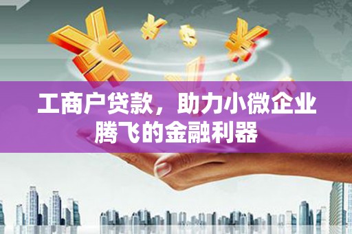 抚远工商户贷款，助力小微企业腾飞的金融利器