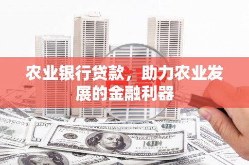 抚远农业银行贷款，助力农业发展的金融利器