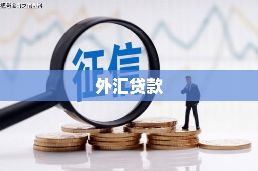岷县外汇贷款