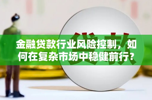惠水金融贷款行业风险控制，如何在复杂市场中稳健前行？