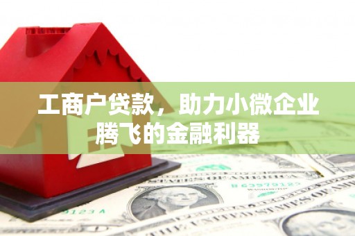 肃北工商户贷款，助力小微企业腾飞的金融利器