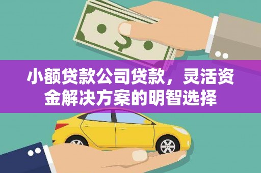 广陵小额贷款公司贷款，灵活资金解决方案的明智选择