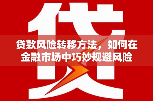 南州贷款风险转移方法，如何在金融市场中巧妙规避风险