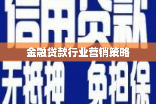 东乡金融贷款行业营销策略