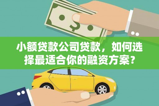 洛龙小额贷款公司贷款，如何选择最适合你的融资方案？