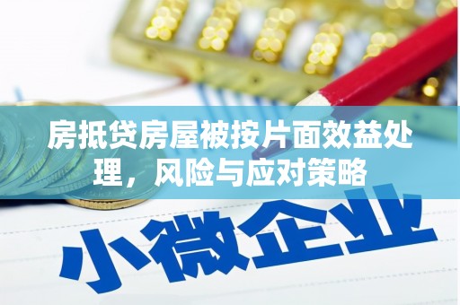 信宜房抵贷房屋被按片面效益处理，风险与应对策略