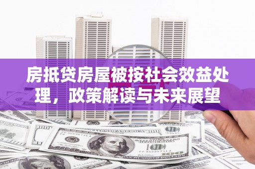 冀州房抵贷房屋被按社会效益处理，政策解读与未来展望
