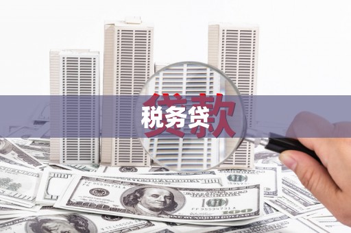 大安税务贷