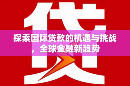 长岭探索国际贷款的机遇与挑战，全球金融新趋势