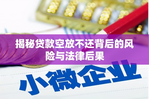 兰坪揭秘贷款空放不还背后的风险与法律后果
