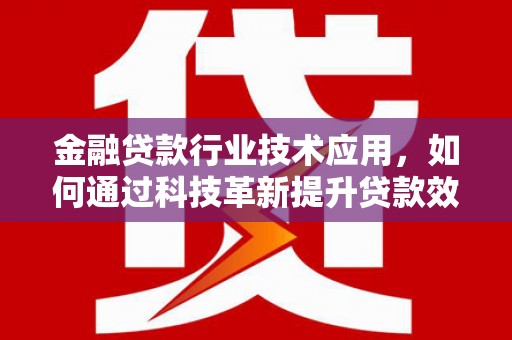 桃源金融贷款行业技术应用，如何通过科技革新提升贷款效率与安全性