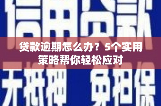 新源贷款逾期怎么办？5个实用策略帮你轻松应对