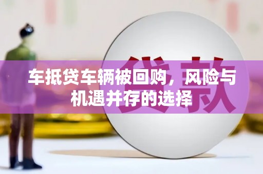 勐海车抵贷车辆被回购，风险与机遇并存的选择