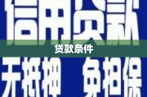 庆元贷款条件