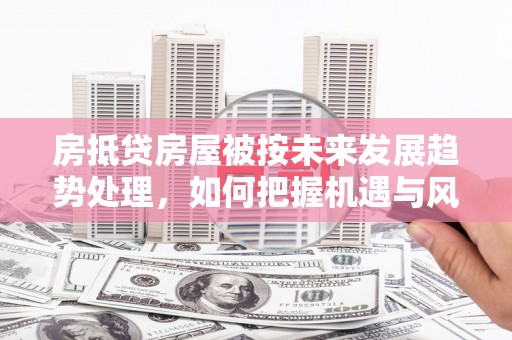 陈巴尔虎旗房抵贷房屋被按未来发展趋势处理，如何把握机遇与风险？