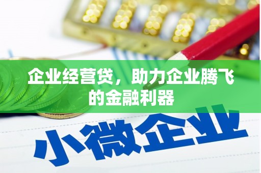 陈巴尔虎旗企业经营贷，助力企业腾飞的金融利器