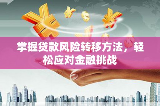息县掌握贷款风险转移方法，轻松应对金融挑战