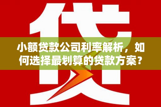 墨玉小额贷款公司利率解析，如何选择最划算的贷款方案？