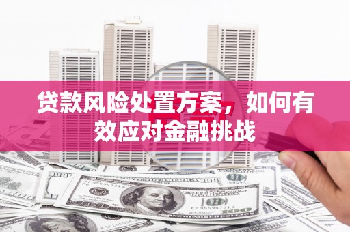 全南贷款风险处置方案，如何有效应对金融挑战