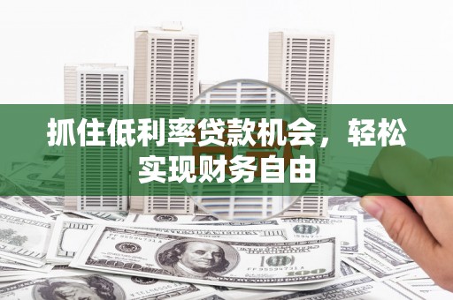 武鸣抓住低利率贷款机会，轻松实现财务自由