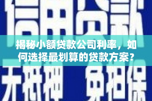 凯里揭秘小额贷款公司利率，如何选择最划算的贷款方案？