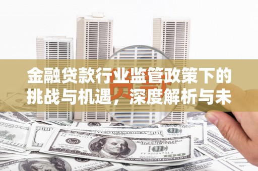 双鸭山金融贷款行业监管政策下的挑战与机遇，深度解析与未来展望