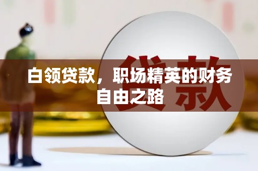 龙马潭白领贷款，职场精英的财务自由之路