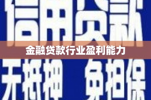 望谟金融贷款行业盈利能力