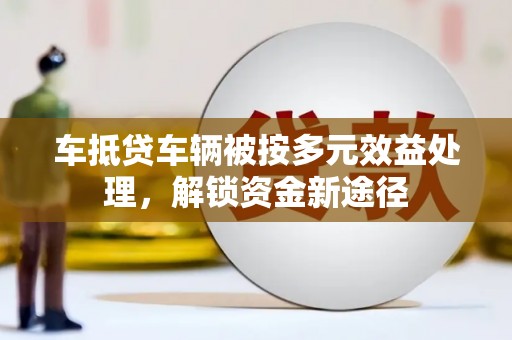 望谟车抵贷车辆被按多元效益处理，解锁资金新途径
