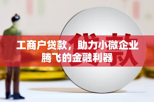阜南工商户贷款，助力小微企业腾飞的金融利器