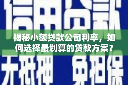 阜南揭秘小额贷款公司利率，如何选择最划算的贷款方案？